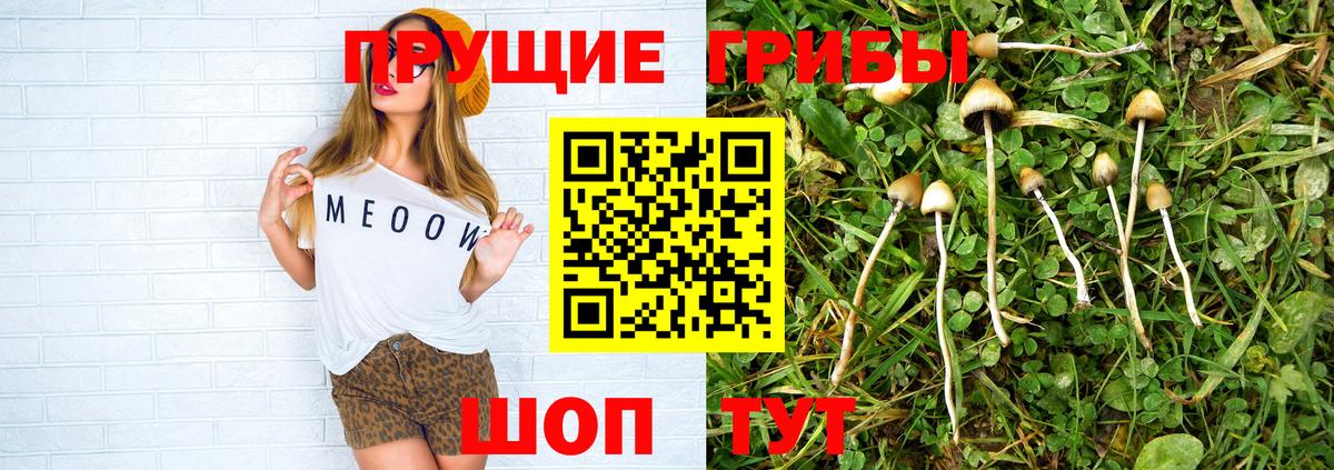 Псилоцибиновые грибы ЛСД  Вход с VPN  Галлюциногенные грибы мицелий  Углич 